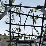 Seaview Croatia Karla Мощеничка-Драга