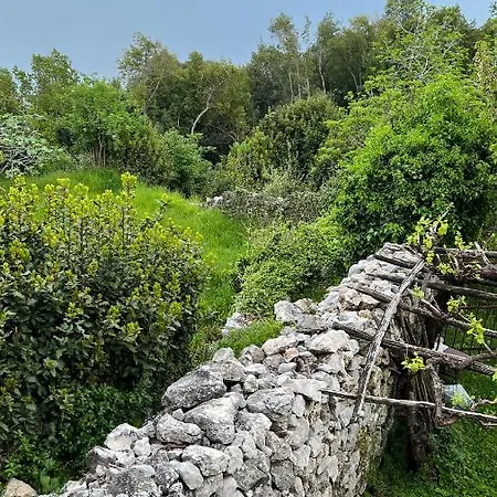 Seaview Croatia Karla Lägenhet Mošćenička Draga