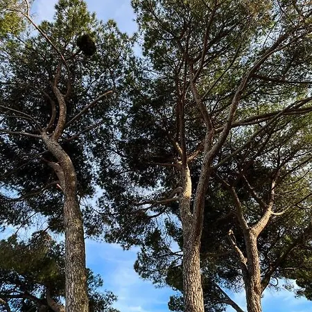 Seaview Croatia Karla Апартаменты *