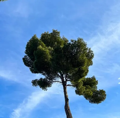 Seaview Croatia Karla